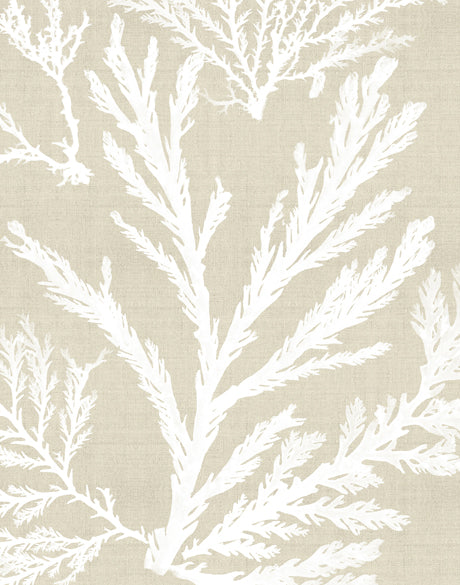 Seaweed Harmony VI (Canvas)