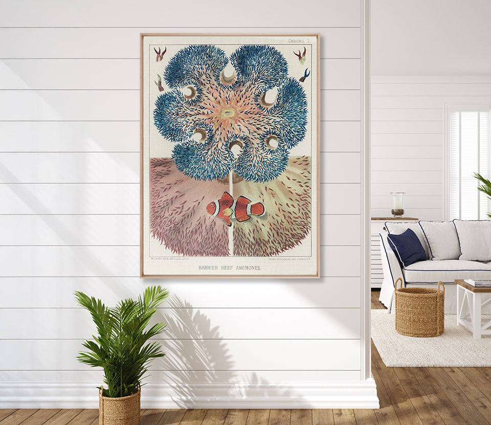 Marine Kaleidoscope I (Canvas)