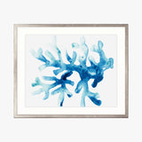 sealife01_4