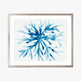 sealife02_4
