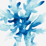 sealife03_3