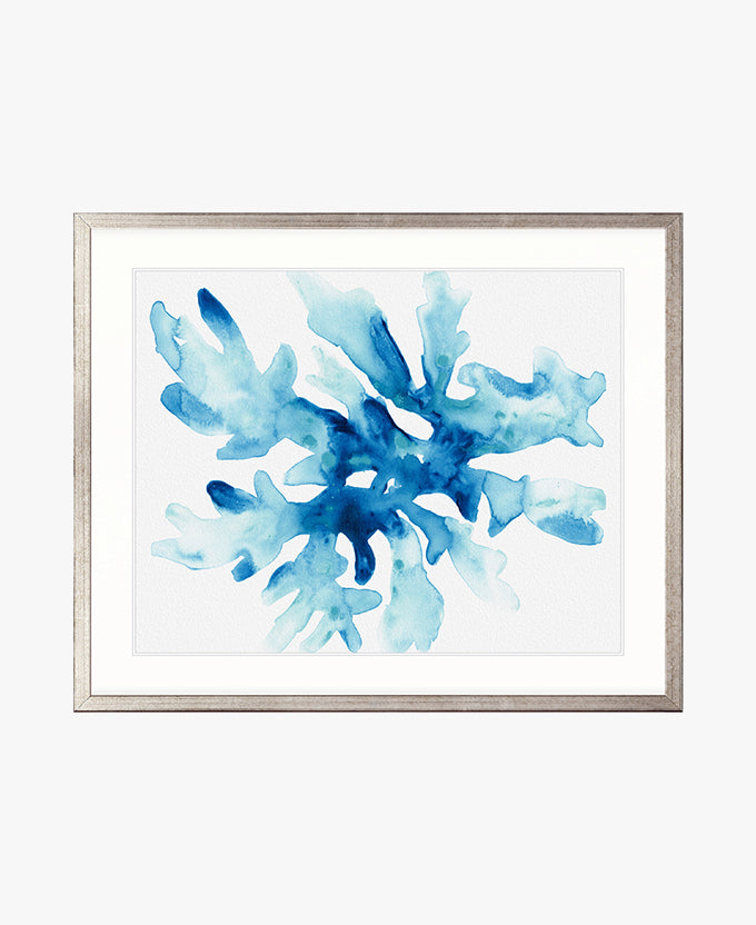 Sea Life III