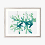 sealife04_4