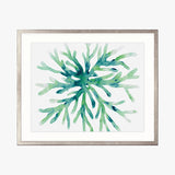 sealife05_4