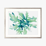 sealife06_4