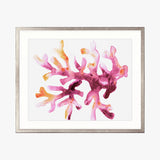 sealife07_4