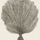 seba02_3