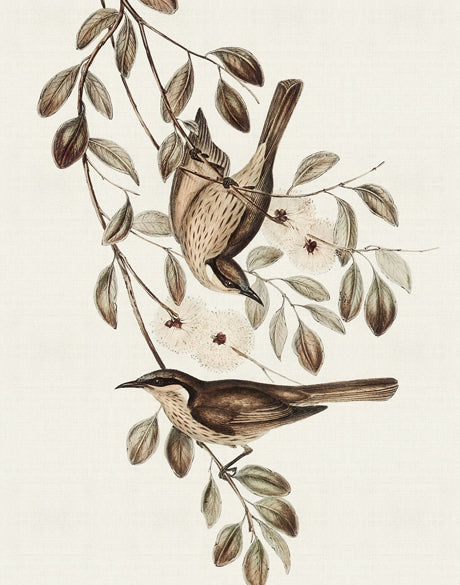 Shildon Birds II (Canvas)