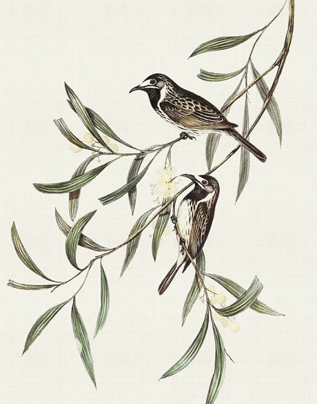 Shildon Birds III (Canvas)