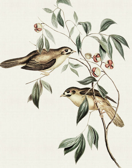 Shildon Birds IV (Canvas)