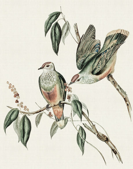 Shildon Birds VI (Canvas)