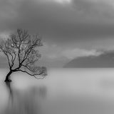 sile01_3