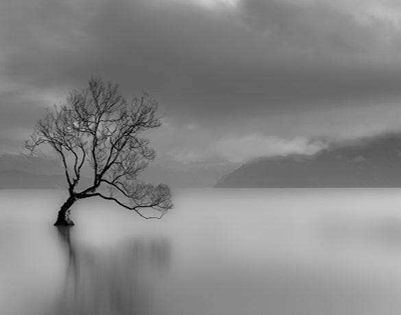 Nature Whisper I