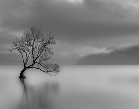 Nature Whisper I