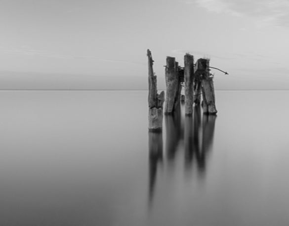 Nature Whisper II
