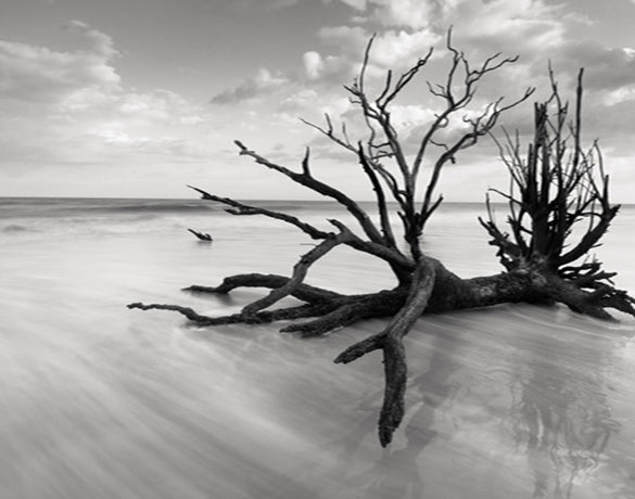 Nature Whisper III