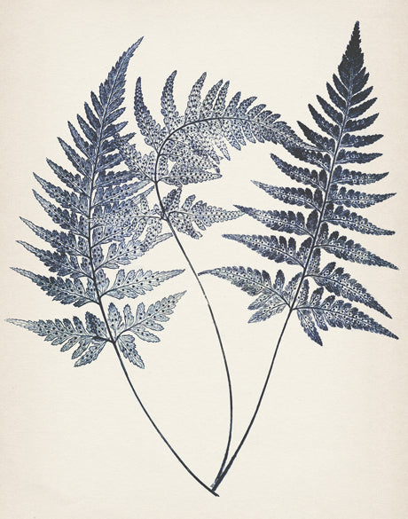 Nature Print I