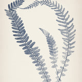sinc02_3