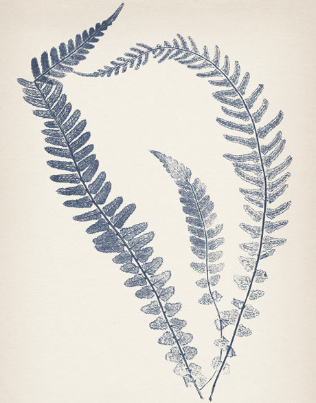 Nature Print II