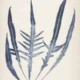 sinc03_3