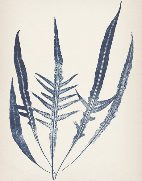 Nature Print III