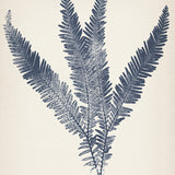 sinc04_3