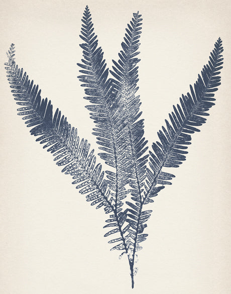 Nature Print IV