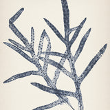 sinc05_3