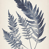 sinc06_3