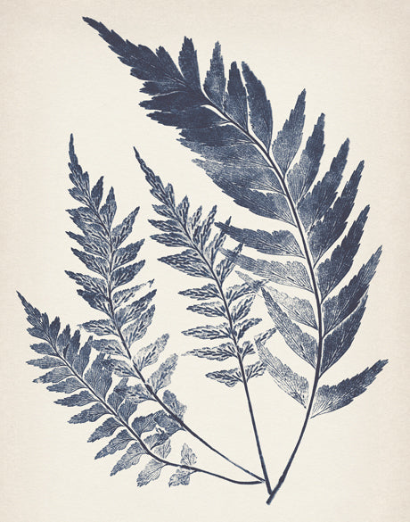 Nature Print VI