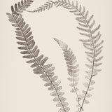 sinc14_3