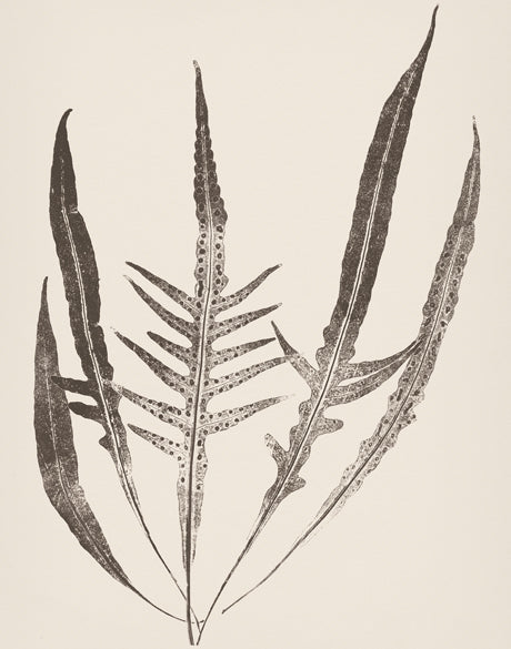 Nature Print XV (Canvas)