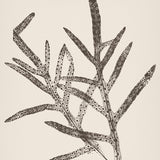 sinc17-c-l_3