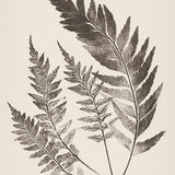 sinc18-c-l_3