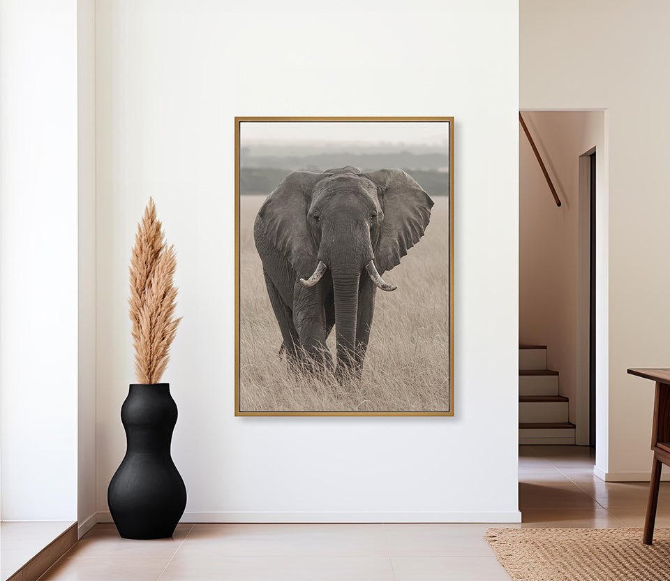 Wild Safari III (Canvas)