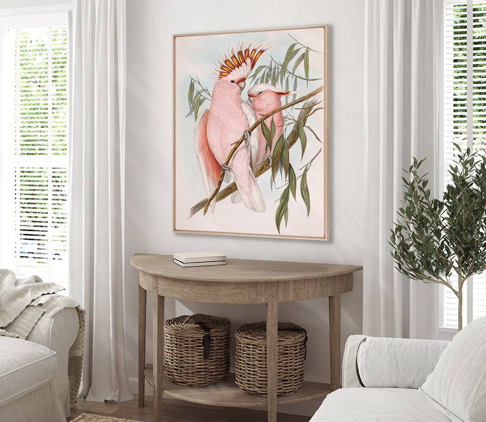Splendid Bird II (Canvas)