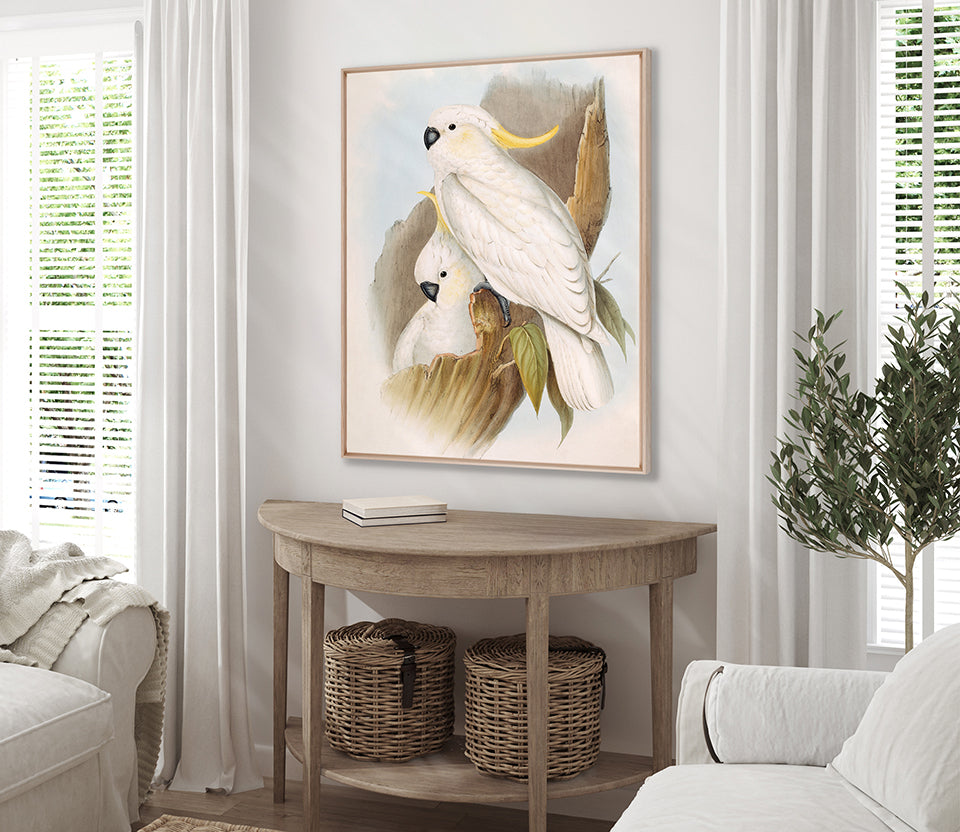 Splendid Bird V (Canvas)