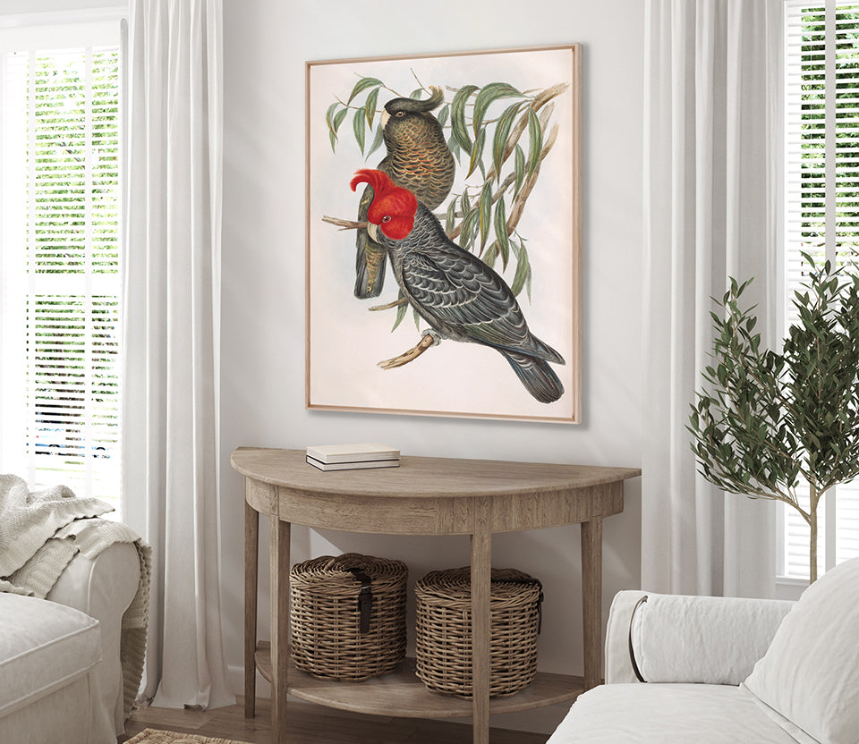 Splendid Bird VI (Canvas)
