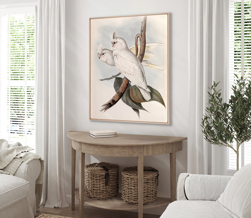Splendid Bird VII (Canvas)
