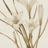 spring01_3