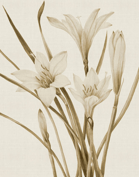 Floral Medley I