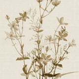 spring02_3