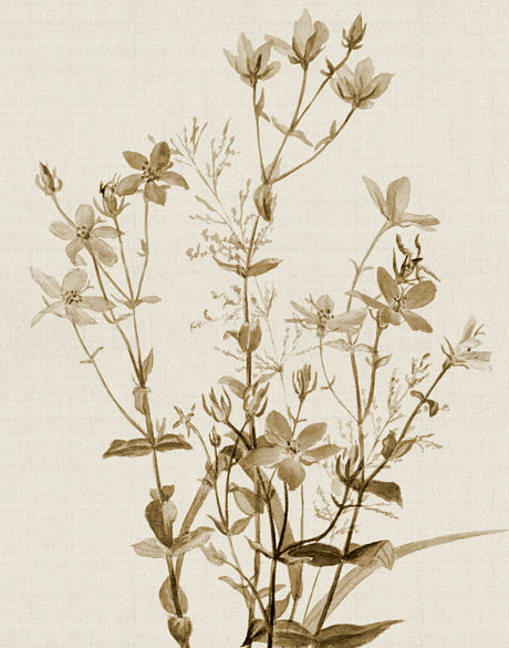 Floral Medley II