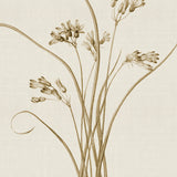 spring03_3