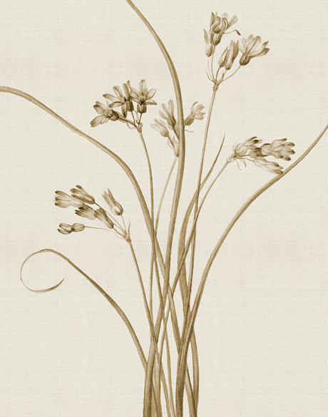 Floral Medley III