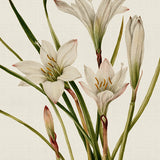 spring05_3
