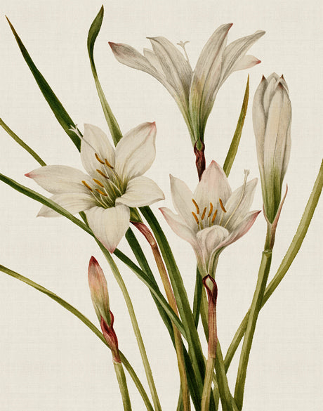 Floral Medley V