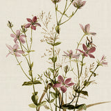 spring06_3