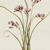 spring07-c-l_3