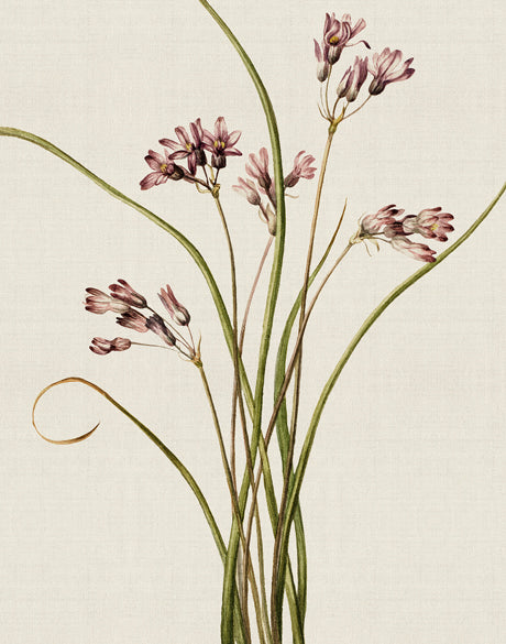 Floral Medley VII